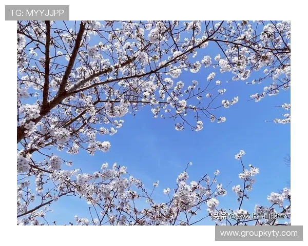 开运体育攻略带你走出阴霾迎来光明未来成为生活中的幸运之星 开运体育攻略带你走出阴霾迎来光明未来成为生活中的幸运之星